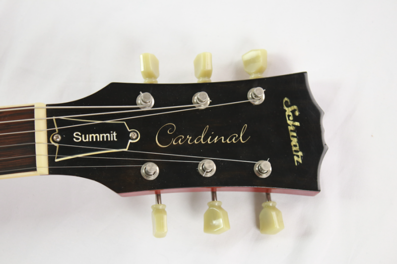 schwarz custom cardinal E-Gitarre